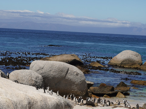 Bridge and Beyond-布莱恩斯顿必去景点