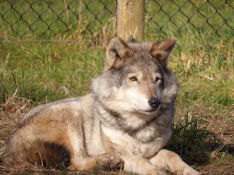 Landgoed Hoenderdaell-Anna Paulowna必去景点