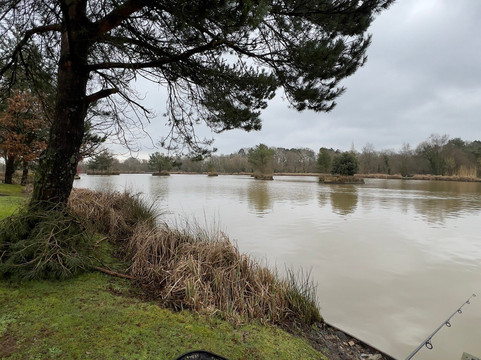 Stafford Moor Fishery-Dolton必去景点
