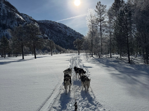 Sirdal Husky Farm-Tonstad必去景点