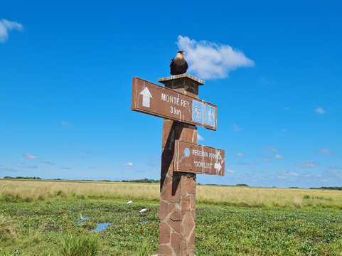 Portal Cambyreta-Ituzaingo必去景点