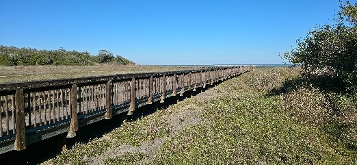 Aransas National Wildlife Refuge-Austwell必去景点