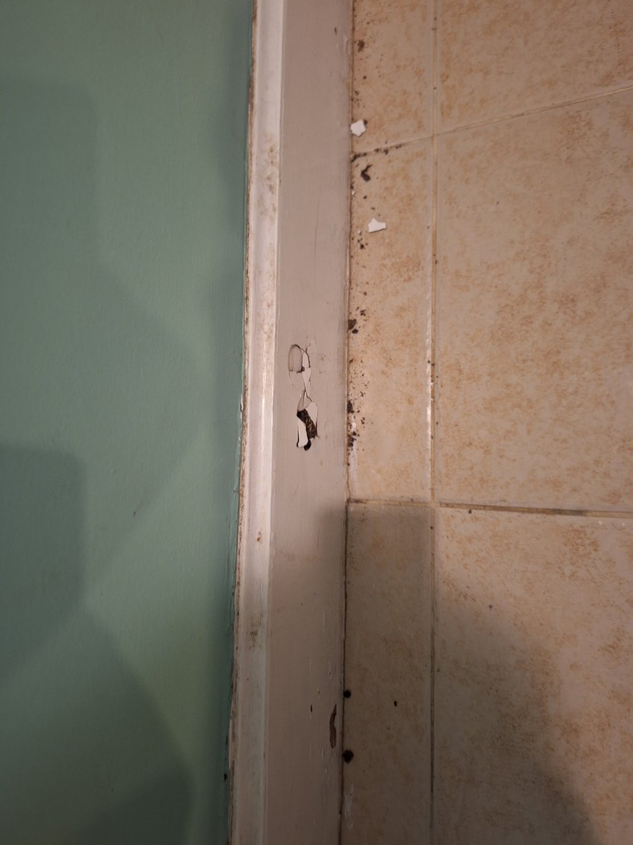 卡皮斯宅邸酒店-官方