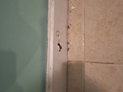 卡皮斯宅邸酒店主图