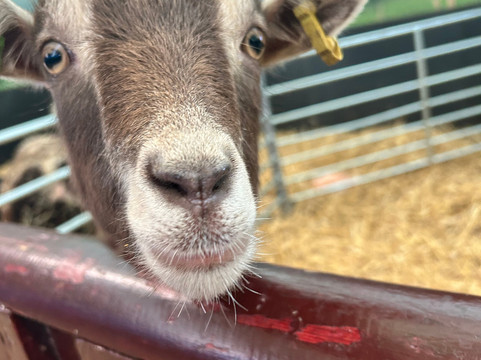 Hatton Country World-Hatton必去景点