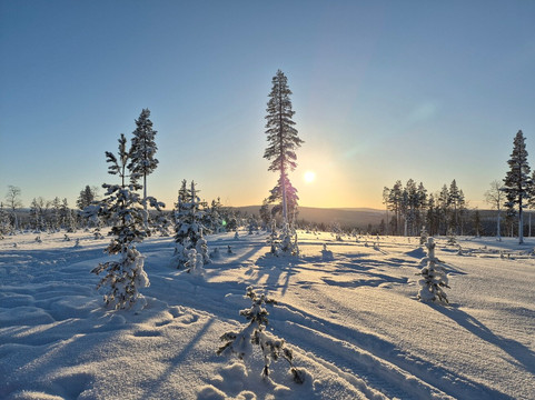 伊瓦洛-拉普兰一日游-伊瓦洛必去景点