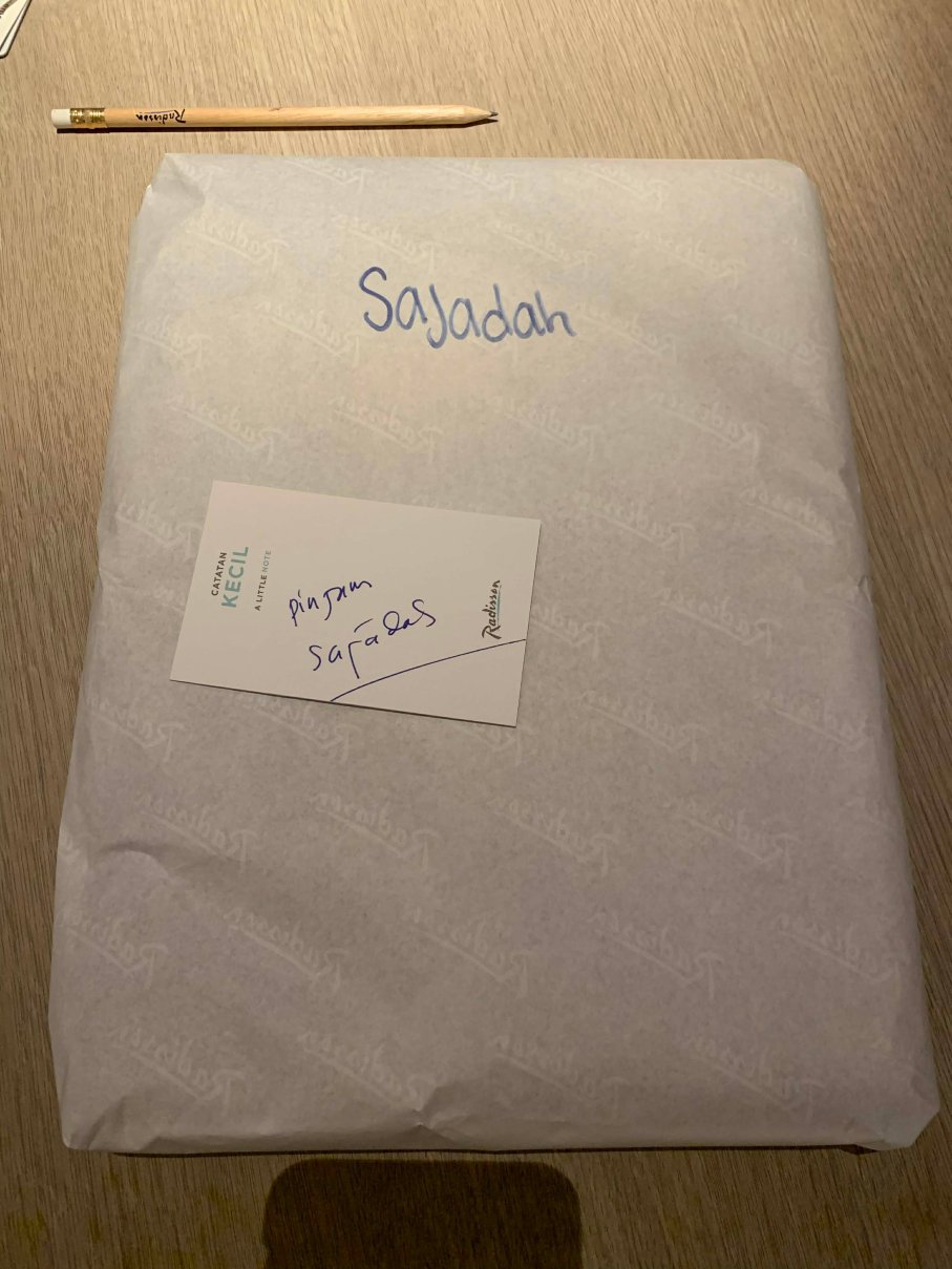 楠榜科达顿丽笙酒店-客卧