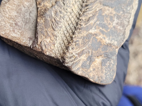 Stori Brymbo-雷克瑟姆必去景点