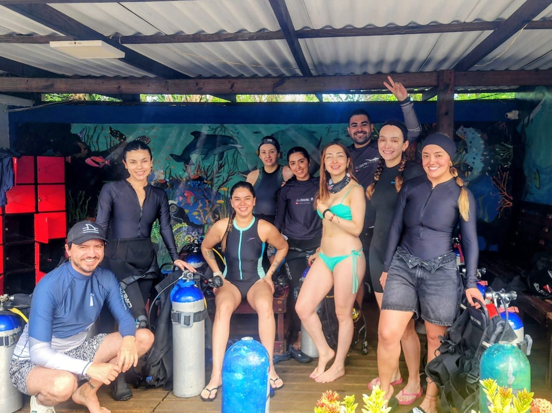 DivingLife Expeditions-麦德林必去景点