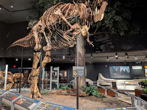 Museum of the Rockies-博兹曼必去景点