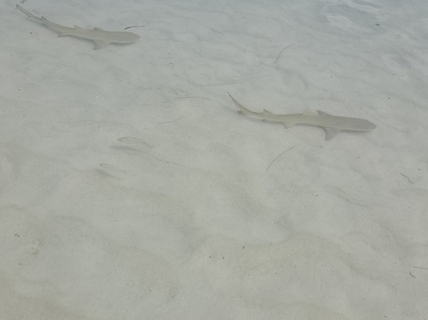 Geoli Charters-Anse la Blague必去景点