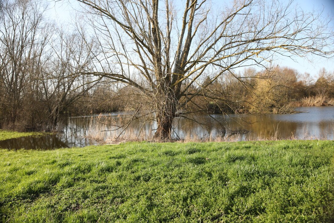 Le Lac de Crissey-Crissey必去景点