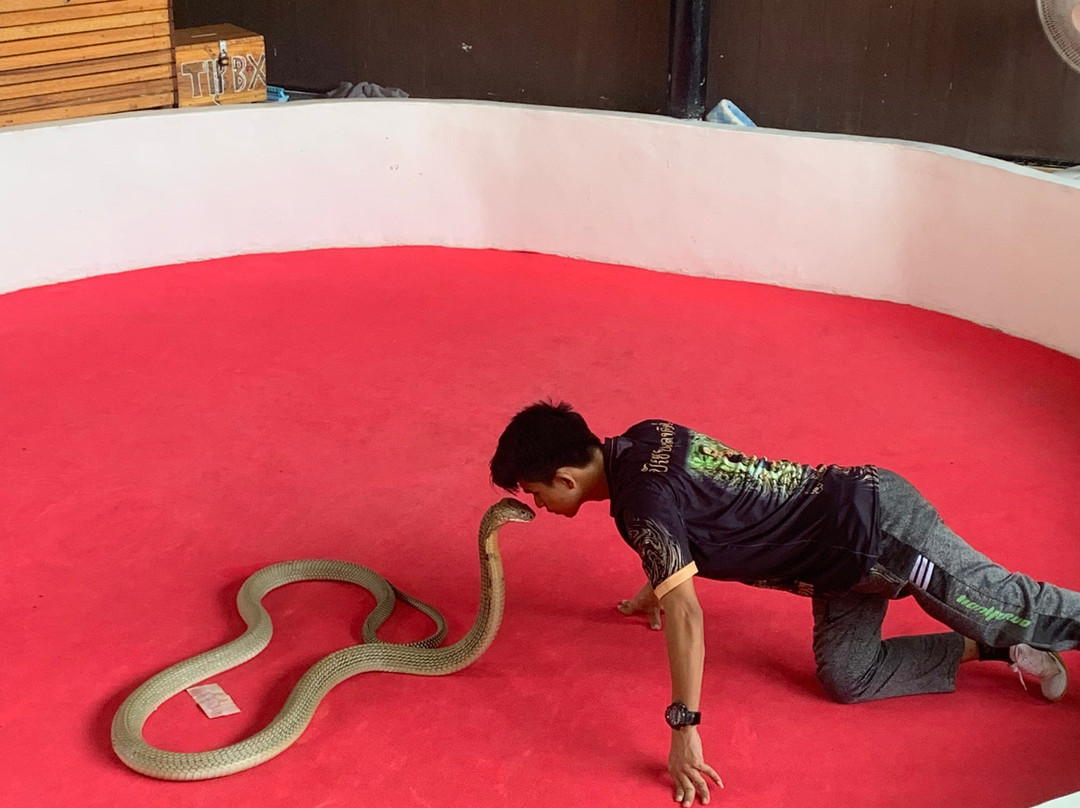 Krabi Snake Park and Kingcobra Show-奥南必去景点