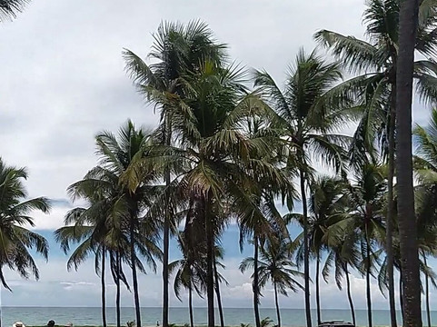 Praia De Maracaipe-嘎林海斯港必去景点