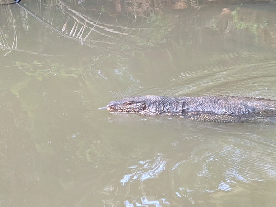 Manu Tours & Travels-亚洪加拉必去景点