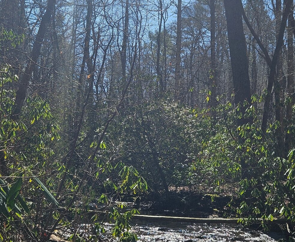 Blue Hole Falls-Hiawassee必去景点