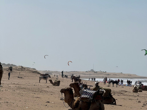 Essaouira Activités-索维拉必去景点