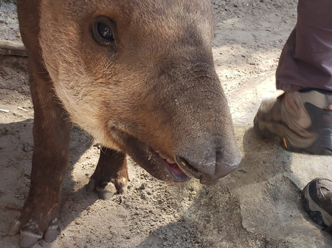 Zoo World Zoological Park-巴拿马城海滩必去景点