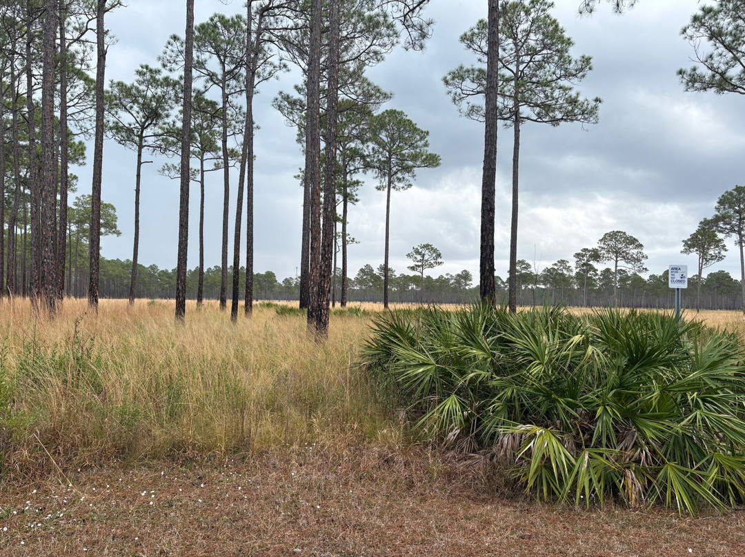 Mississippi Sandhill Crane National Wildlife Refuge-Gautier必去景点