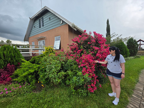 Het Dorp Vilarejo Holandês-Carambei必去景点