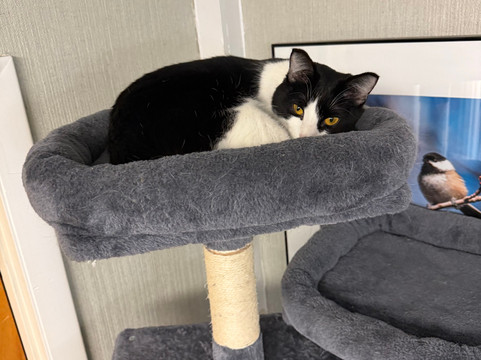 巴克斯特丽柏酒店主图