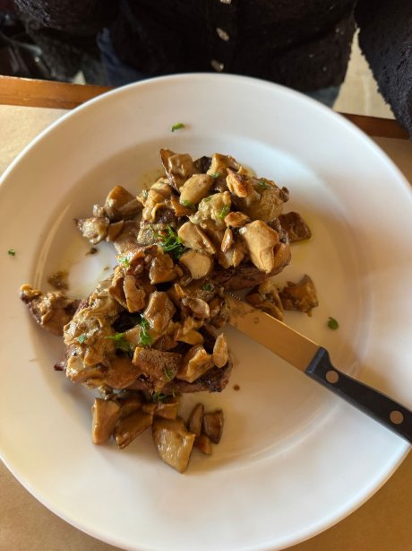 Agriturismo Fontandrone-官方