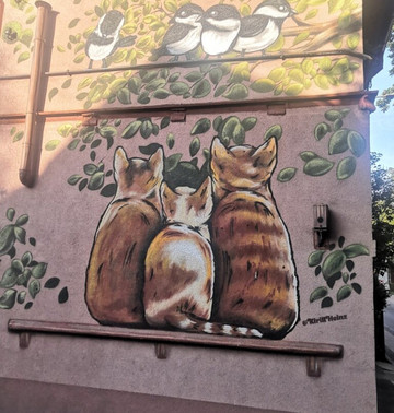 Kurortny Ave.-泽列诺格拉茨克必去景点