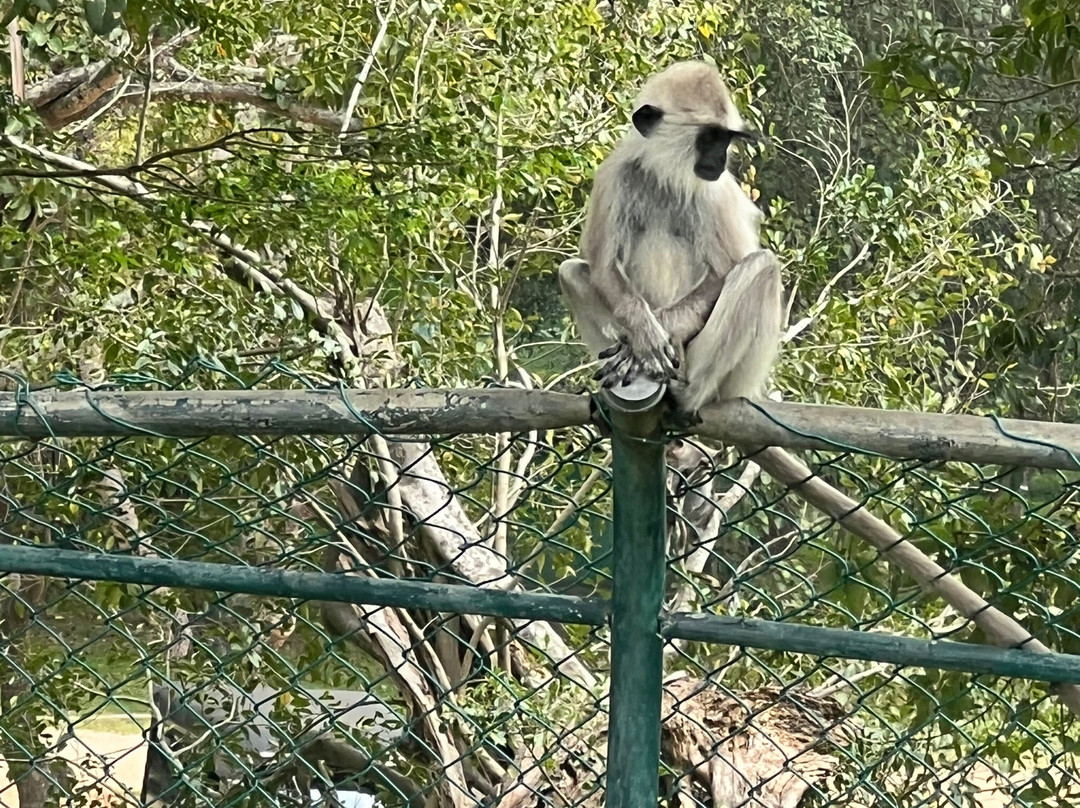 Sanka Tuk Tuk Trails Sigiriya-锡吉里亚必去景点