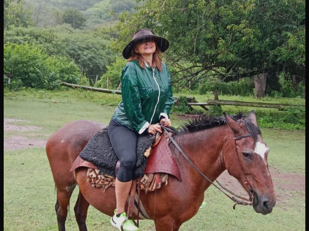 Cabalgatas Gauchas-萨尔塔必去景点