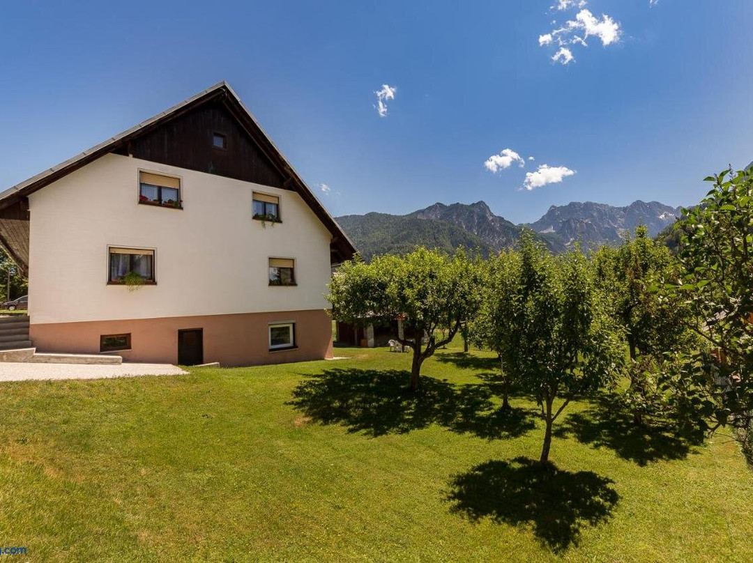 Apartmaji Trstenjak