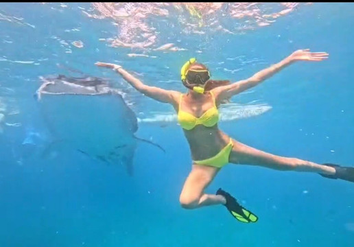 Island Trek Tours-奥斯洛布必去景点