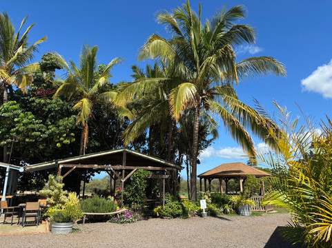 冲浪山羊农场-库拉必去景点