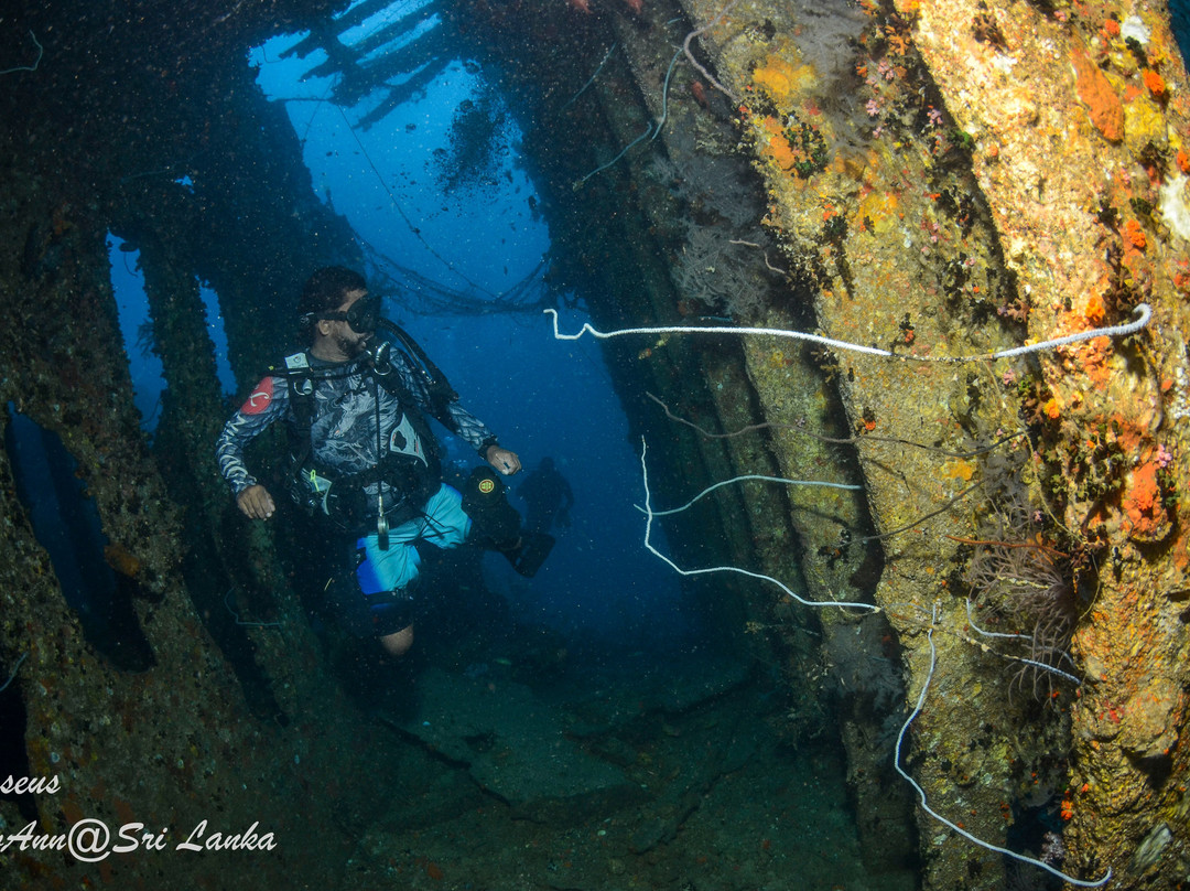Scuba Addicts-拉非尼亚山必去景点