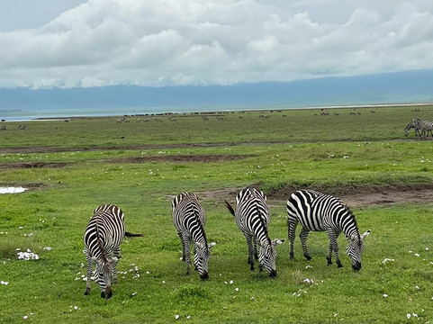 Altezza Travel-莫西必去景点