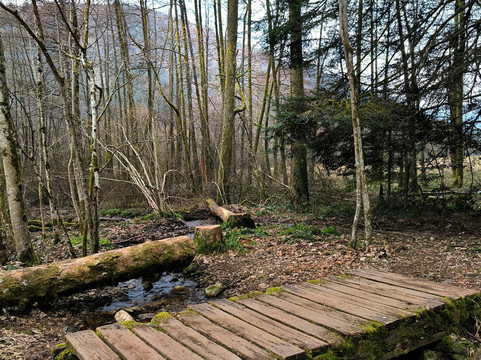 Lac de Longemer-Xonrupt-Longemer必去景点