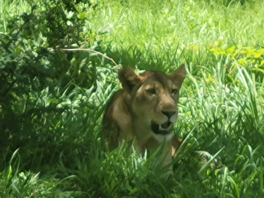 Boss Dhow-Kendwa必去景点