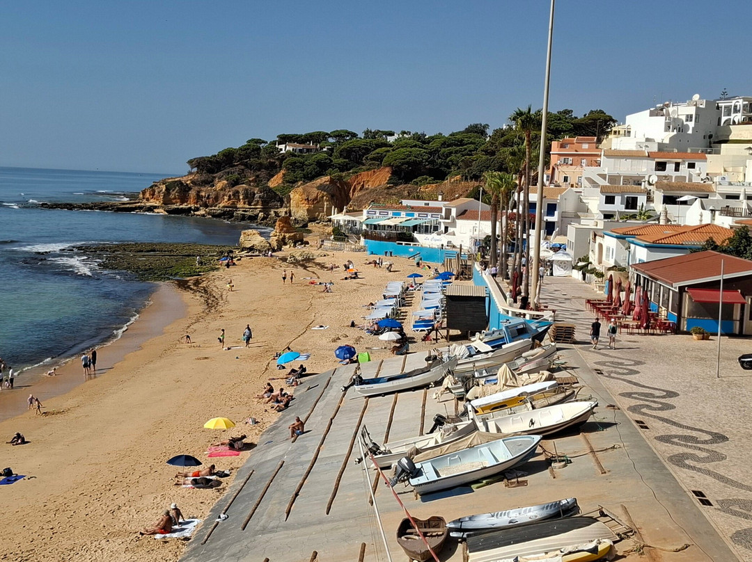 Cliff Boardwalk and Pathway