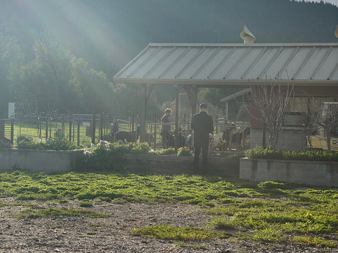 安德森谷酒店主图