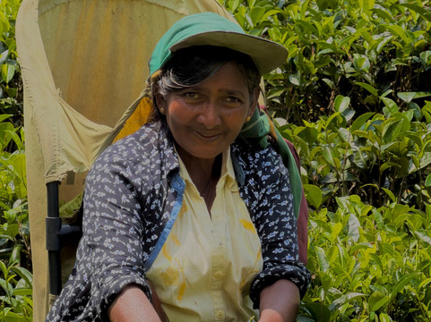 Kumar Tours-Aluthgama必去景点