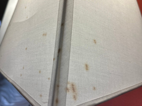 南萨莱纳舒适套房酒店主图