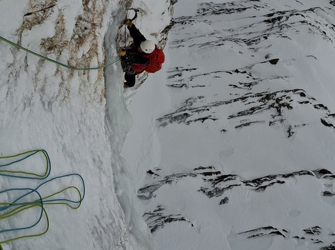 Abacus Mountain Guides-威廉堡必去景点