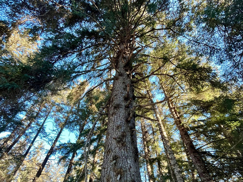 Seldovia Nature Tours-Seldovia必去景点