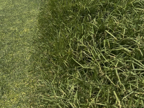 Jandia Golf Course-Morro del Jable必去景点