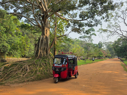 Tuk Tuk Rental Negombo-尼甘布必去景点
