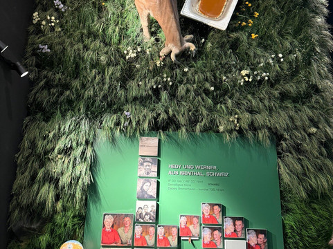 Klimahaus Bremerhaven-不来梅港必去景点