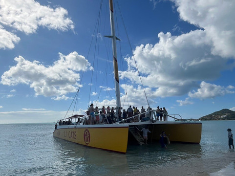 Wadadli Cats-安提瓜必去景点