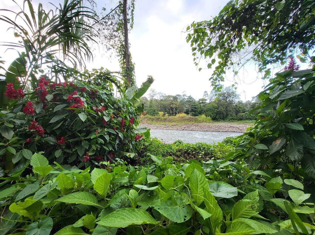 Chilamate Rainforest Eco Retreat主图