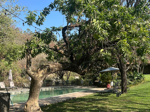 亚马特河酒店主图