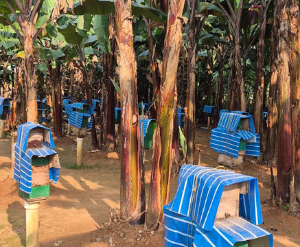 Suryatrips-Vizhinjam必去景点