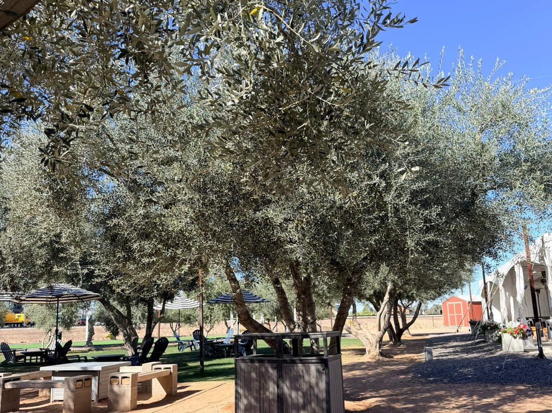 Queen Creek Olive Mill-Queen Creek必去景点